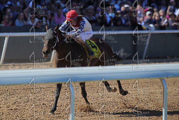 z2026328_justinmanning_eclipsesportswire_americanpharoahovernightstakes_JWM_1404
