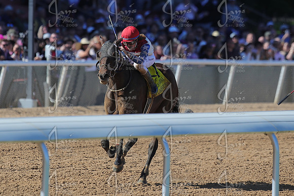 z2026328_justinmanning_eclipsesportswire_americanpharoahovernightstakes_JWM_1402