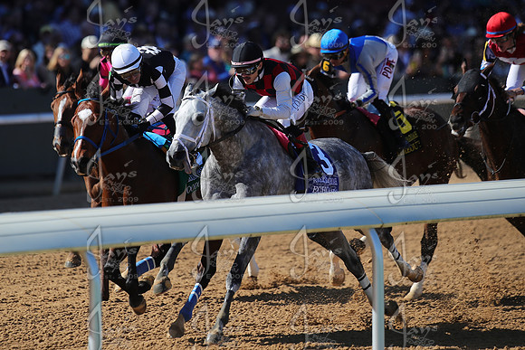 z2026328_justinmanning_eclipsesportswire_americanpharoahovernightstakes_JWM_1388