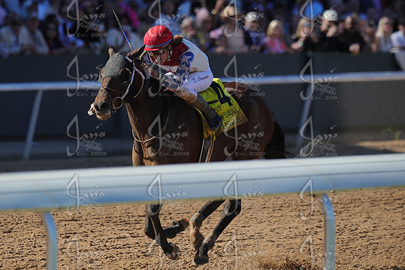 z2026328_justinmanning_eclipsesportswire_americanpharoahovernightstakes_JWM_1405