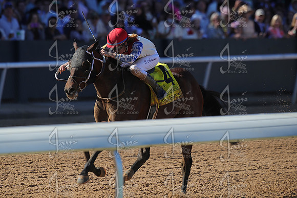 z2026328_justinmanning_eclipsesportswire_americanpharoahovernightstakes_JWM_1406