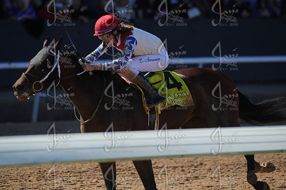 z2026328_justinmanning_eclipsesportswire_americanpharoahovernightstakes_JWM_1415