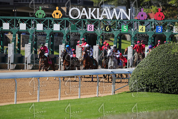 z2026328_justinmanning_eclipsesportswire_americanpharoahovernightstakes_JWM_1376