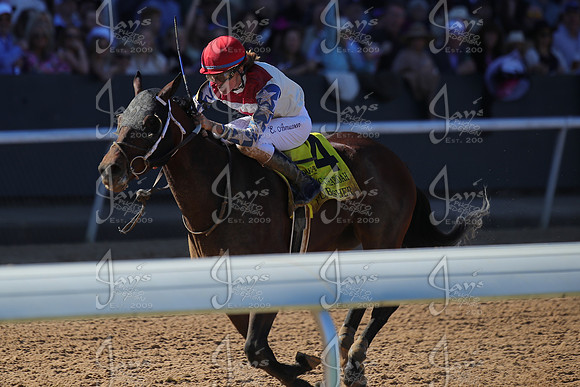 z2026328_justinmanning_eclipsesportswire_americanpharoahovernightstakes_JWM_1407