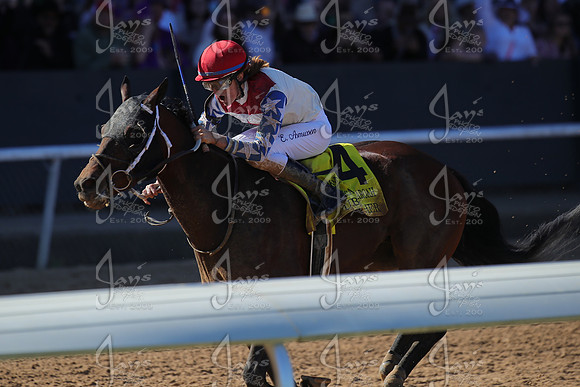 z2026328_justinmanning_eclipsesportswire_americanpharoahovernightstakes_JWM_1411