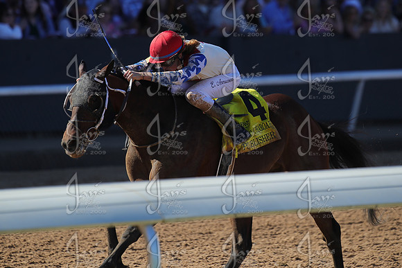 z2026328_justinmanning_eclipsesportswire_americanpharoahovernightstakes_JWM_1409