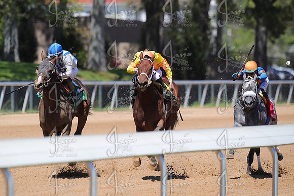 z2026328_justinmanning_eclipsesportswire_temperencehillstakes_JWM_1066