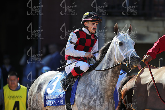 z2026328_justinmanning_eclipsesportswire_americanpharoahovernightstakes_JWM_1234