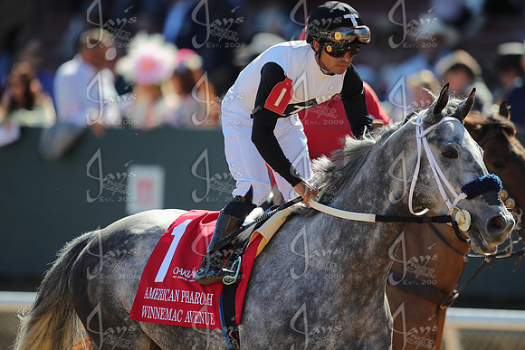 z2026328_justinmanning_eclipsesportswire_americanpharoahovernightstakes_JWM_1329
