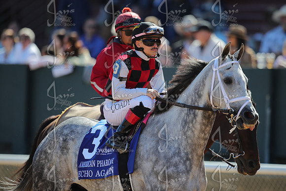 z2026328_justinmanning_eclipsesportswire_americanpharoahovernightstakes_JWM_1340