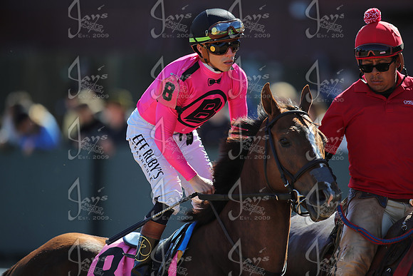 z2026328_justinmanning_eclipsesportswire_americanpharoahovernightstakes_JWM_1365