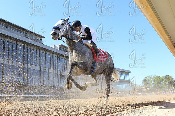 z2026328_justinmanning_eclipsesportswire_americanpharoahovernightstakes_JWM_1574