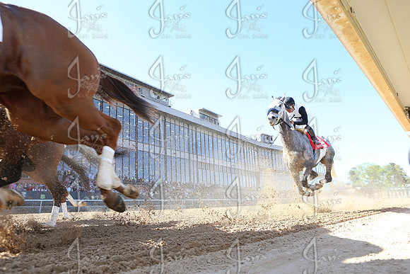 z2026328_justinmanning_eclipsesportswire_americanpharoahovernightstakes_JWM_1573