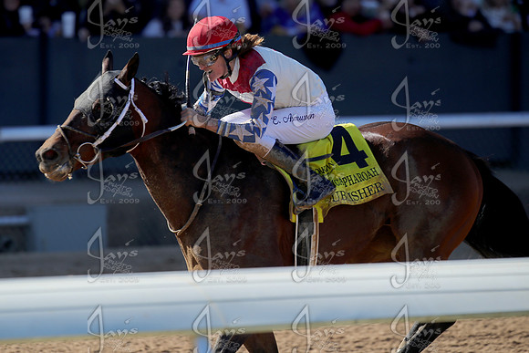z2026328_justinmanning_eclipsesportswire_americanpharoahovernightstakes_JWM_1416