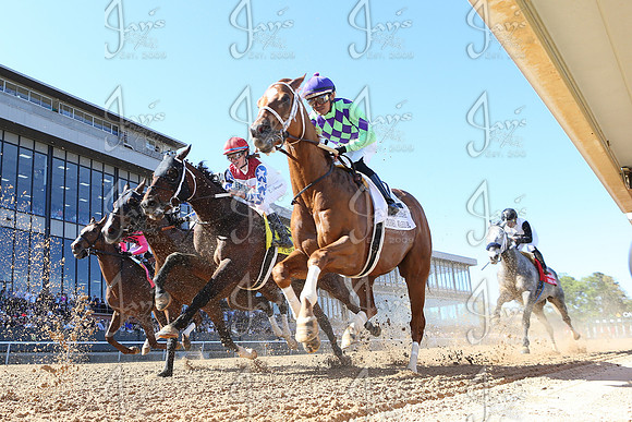 z2026328_justinmanning_eclipsesportswire_americanpharoahovernightstakes_JWM_1571