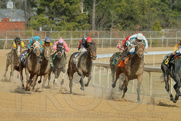 Southwest Stakes 2-17-2014 (© Justin Manning) JWM_0059