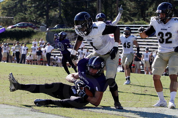 Harding @ OBU 10-19-13 (© Justin Manning) JWM0454