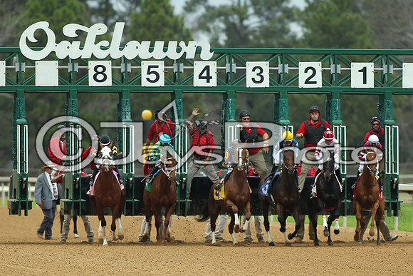 Southwest Stakes (GradeIII) 2-20-17_JWM00158