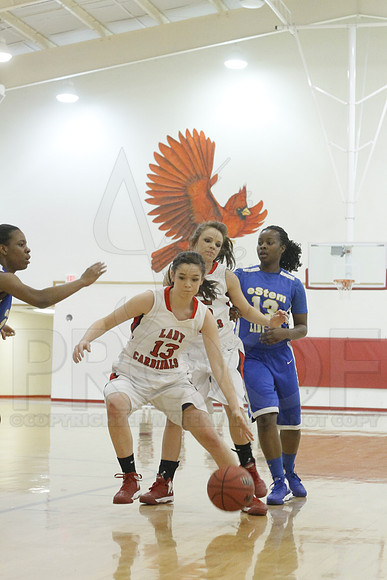 Estem @ Harmony Grove 2-1-13 (Justin Manning)0102