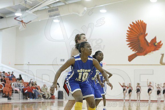 Estem @ Harmony Grove 2-1-13 (Justin Manning)0118