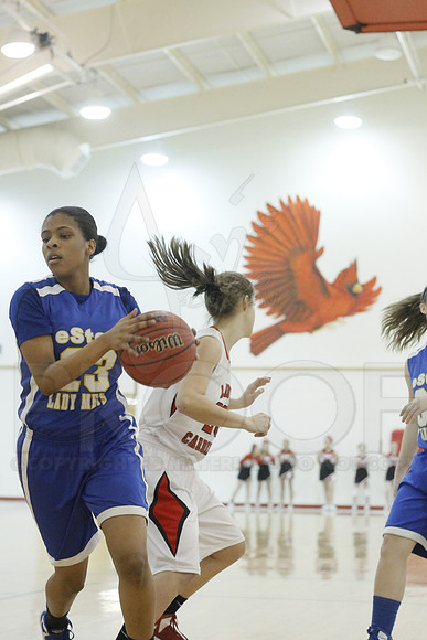 Estem @ Harmony Grove 2-1-13 (Justin Manning)0136