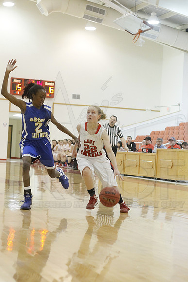 Estem @ Harmony Grove 2-1-13 (Justin Manning)0170