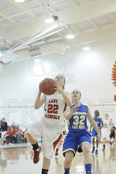 Estem @ Harmony Grove 2-1-13 (Justin Manning)0172