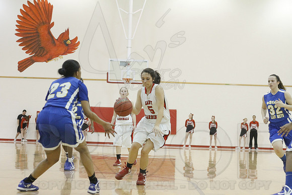 Estem @ Harmony Grove 2-1-13 (Justin Manning)0184