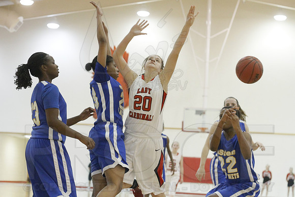 Estem @ Harmony Grove 2-1-13 (Justin Manning)0188