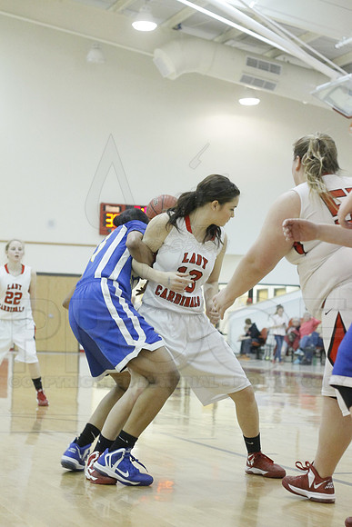 Estem @ Harmony Grove 2-1-13 (Justin Manning)0326