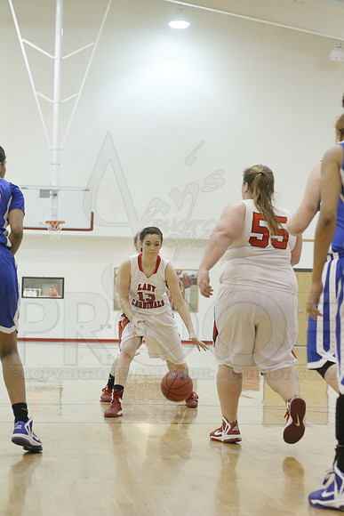 Estem @ Harmony Grove 2-1-13 (Justin Manning)0330