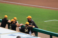 Arkansas vs. UAPB 4-14-26_JWM_0013