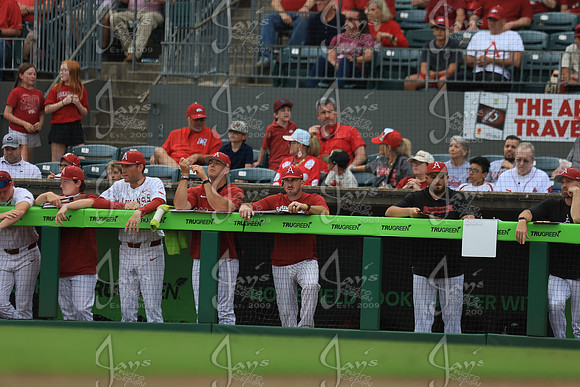 Arkansas vs. UAPB 4-14-26_JWM_0253