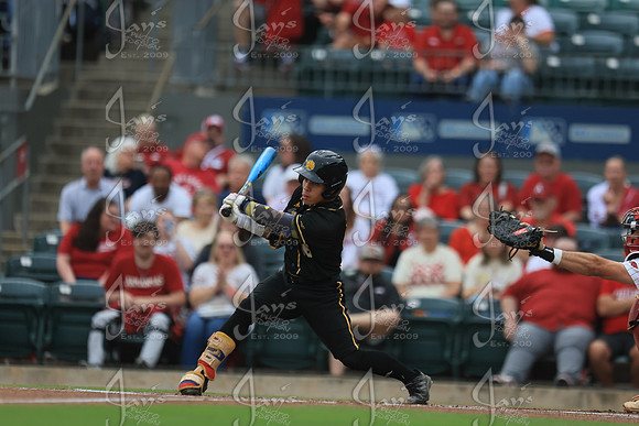 Arkansas vs. UAPB 4-14-26_JWM_0276