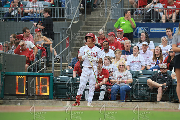 Arkansas vs. UAPB 4-14-26_JWM_0461