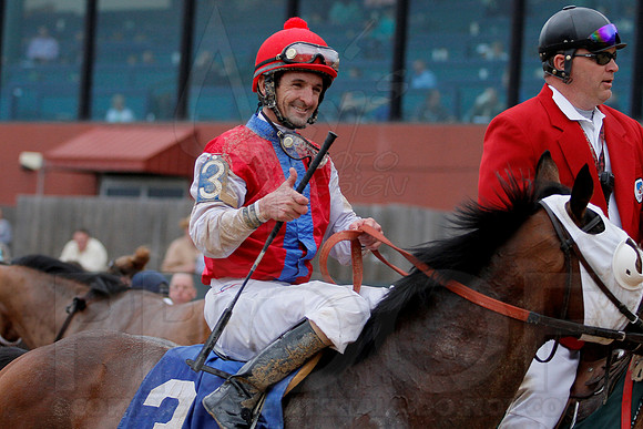 The 54th running of the Razorback Handicap 3-9-13 JWM0267 (©Justin Manning)