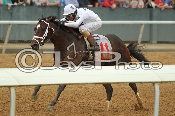 Southwest Stakes (GradeIII) 2-20-17_JWM00915