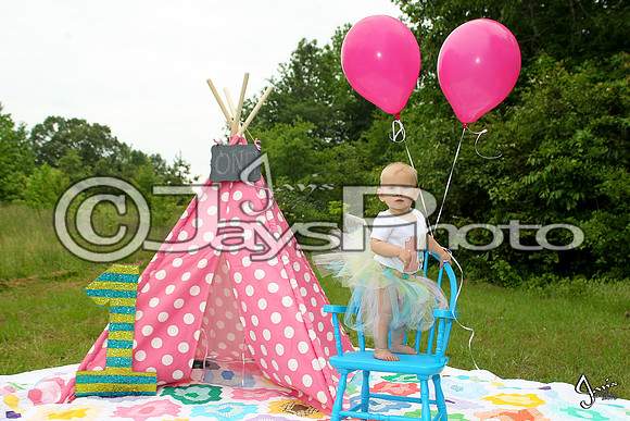 Camden's 1st Birthday pictures_0573