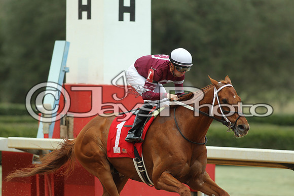 Southwest Stakes (GradeIII) 2-20-17_JWM00219