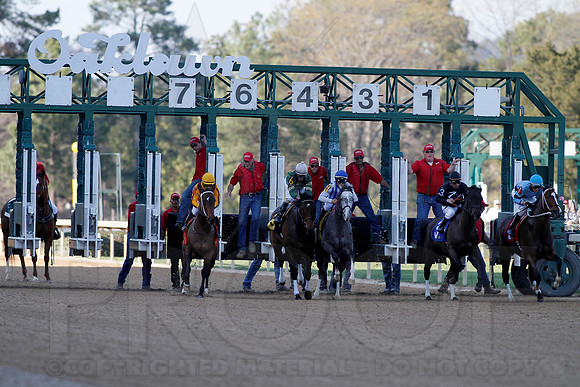 Azeri Stakes 3-16-13 (© Justin Manning) JWM0196