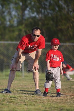 White Sox vs Angels 4-22-13 (©Justin Manning) JWM0183