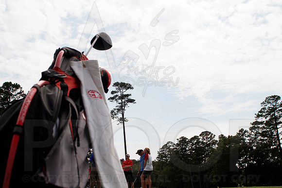 Cortez Golf Course (Hot Springs Village) 8-14-12 016(Justin Manning)