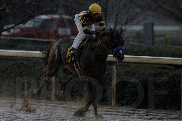 Oaklawn 2-18-13 (Southwest Stakes) (©Justin Manning)0207