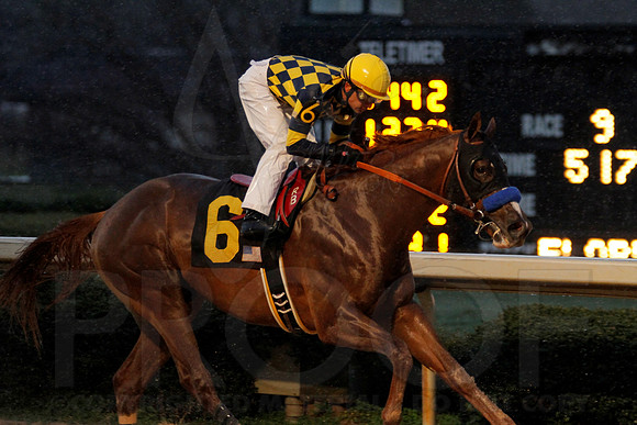 Oaklawn 2-18-13 (Southwest Stakes) (©Justin Manning)0211