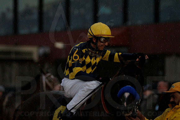 Oaklawn 2-18-13 (Southwest Stakes) (©Justin Manning)0217