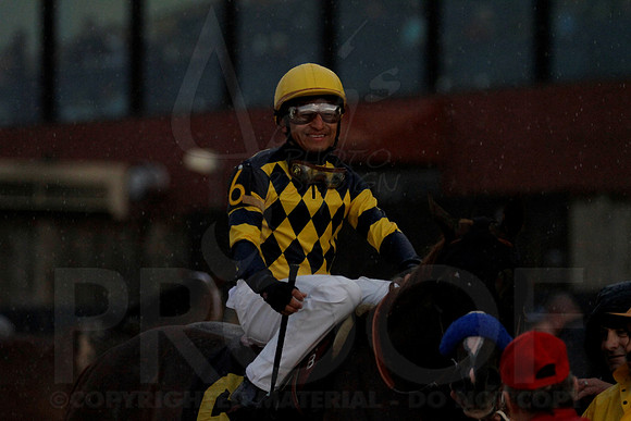 Oaklawn 2-18-13 (Southwest Stakes) (©Justin Manning)0221