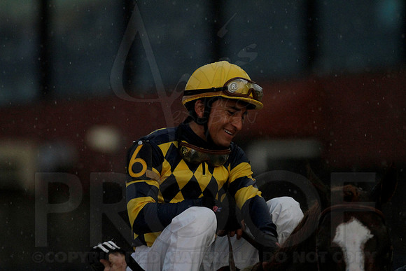 Oaklawn 2-18-13 (Southwest Stakes) (©Justin Manning)0228