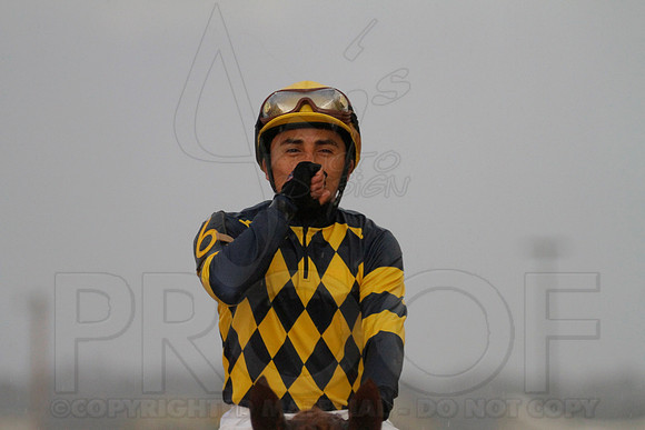 Oaklawn 2-18-13 (Southwest Stakes) (©Justin Manning)0244
