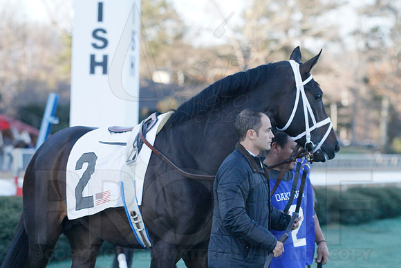 Oaklawn 1-21-13 (Smarty Jones Stakes) (Justin Manning)0103