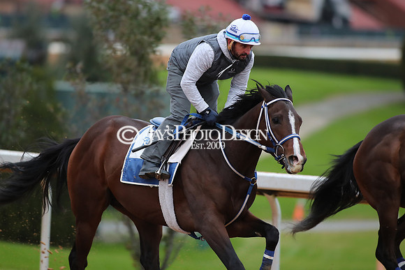z250104_SmartyJonesStakesDay _JWM_0077